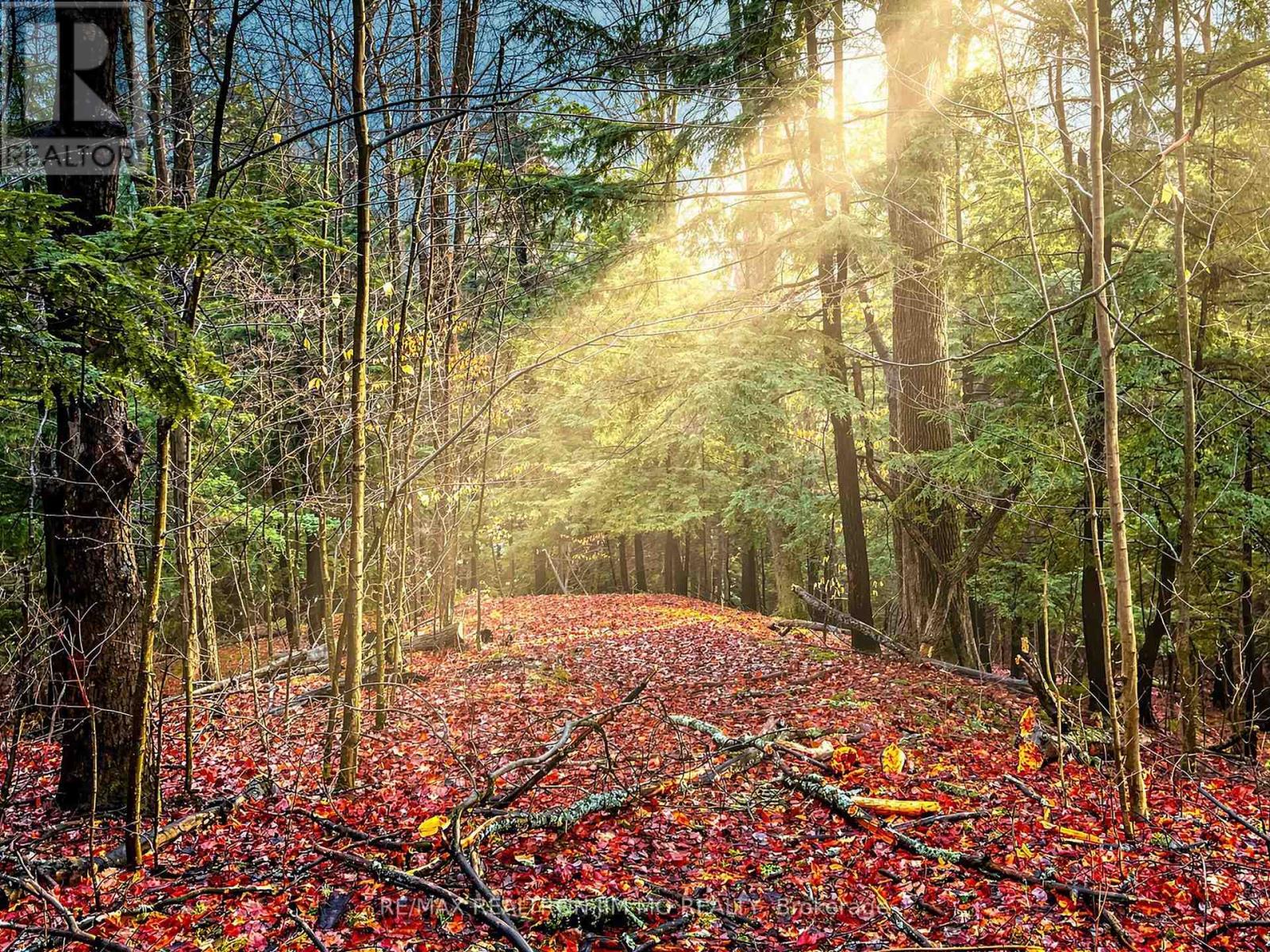 1785 Davis Drive W, King, Ontario  L3Y 4V9 - Photo 14 - N12869374