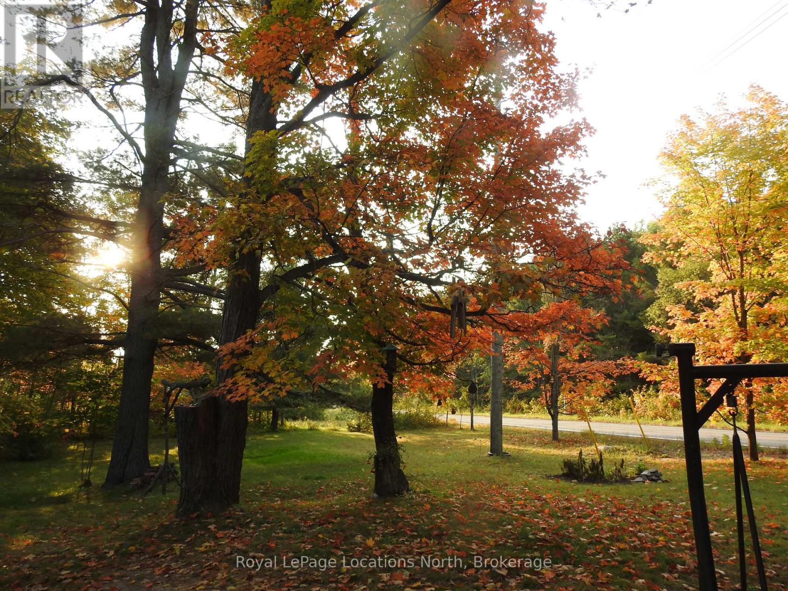 2843 592 Highway, Perry (Emsdale), Ontario  P0A 1J0 - Photo 39 - X12829270