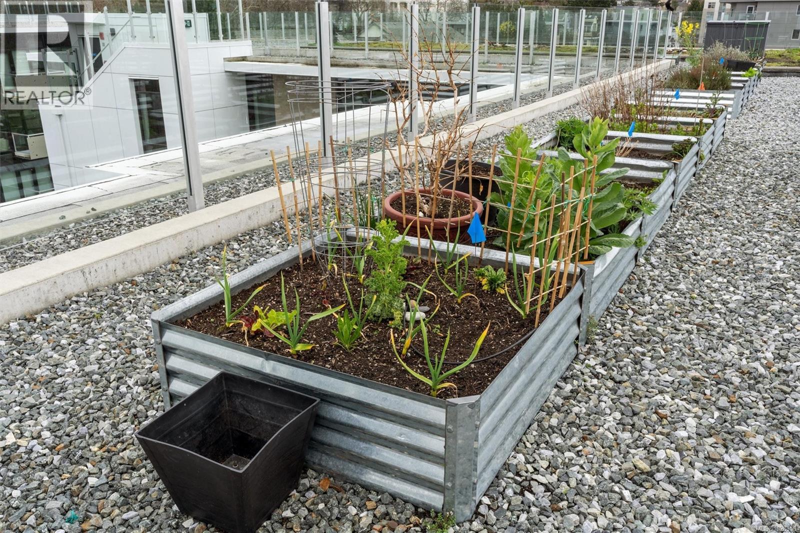 Lorem Ipsum Dolor Sit, Victoria, British Columbia  V8V  - Photo 30 - DEMO29461658