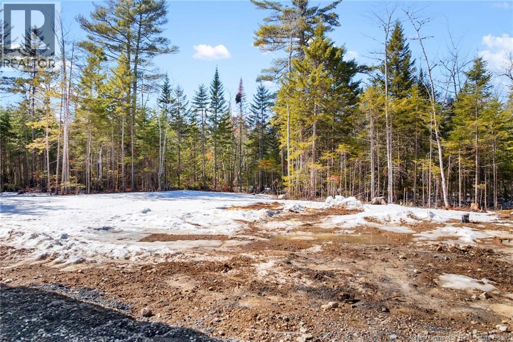 Lorem Ipsum Dolor S, Yoho, New Brunswick  E6K  - Photo 40 - DEMO29461674