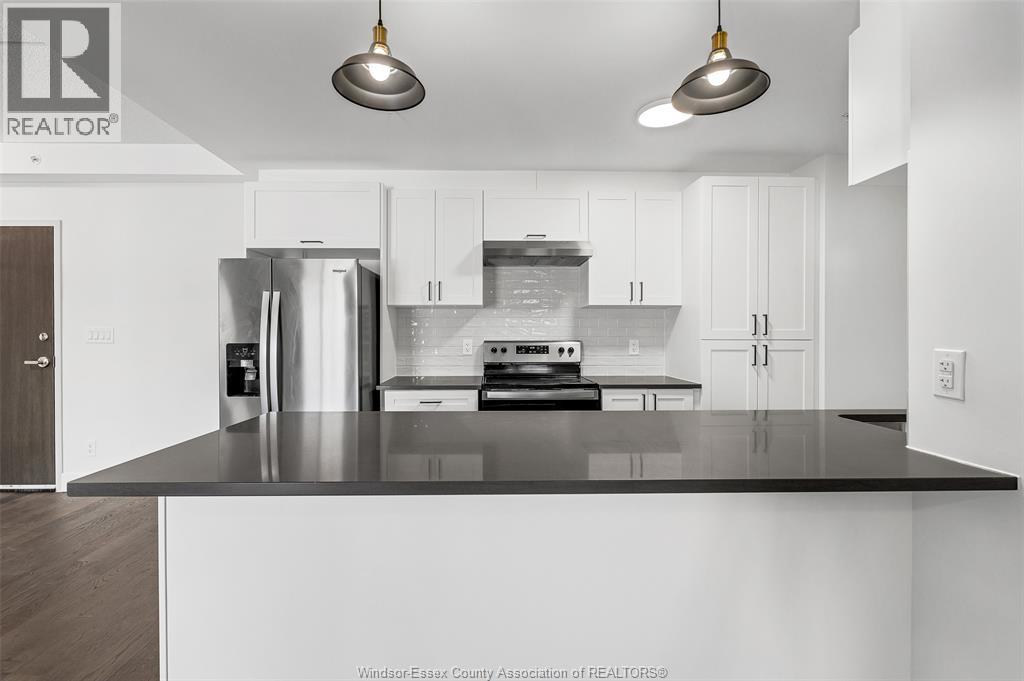 Lorem Ipsum Dolor Sit Amet, Consecte, Lasalle, Ontario  N9H  - Photo 16 - DEMO29461680