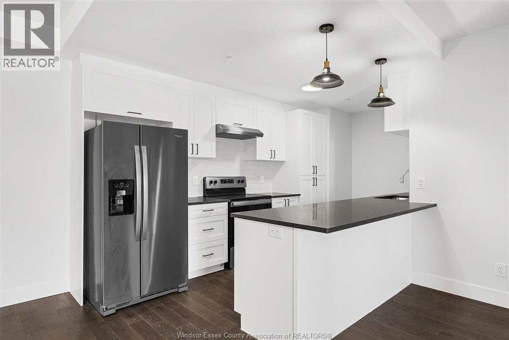 Lorem Ipsum Dolor Sit Amet, Consecte, Lasalle, Ontario  N9H  - Photo 6 - DEMO29461680