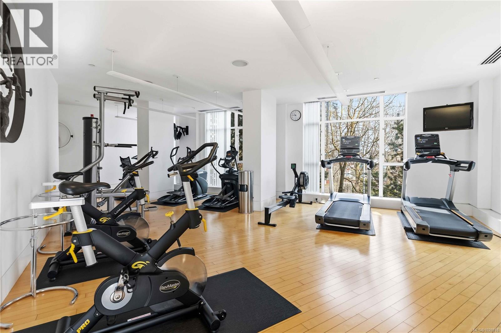 Lorem Ipsum Dolor S, Victoria, British Columbia  V9A  - Photo 29 - DEMO29460784