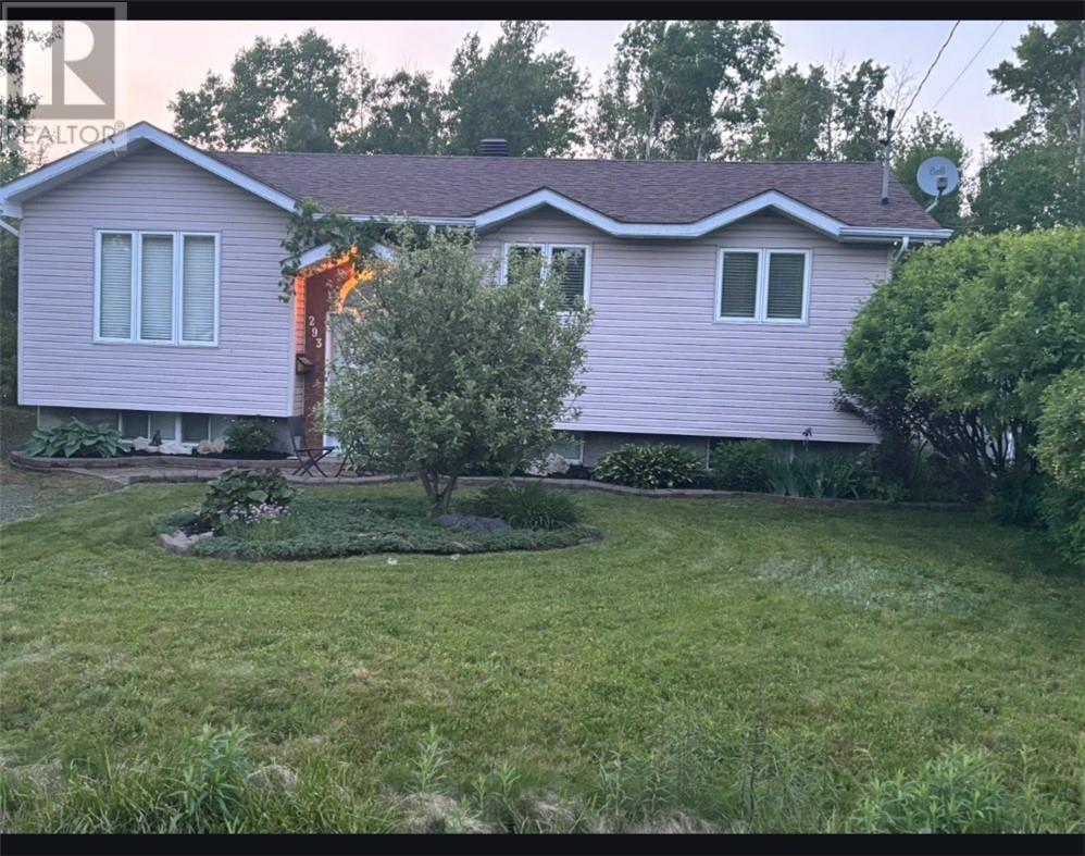 293 Donald Street, Sudbury, Ontario  P3B 3T7 - Photo 27 - 2126512
