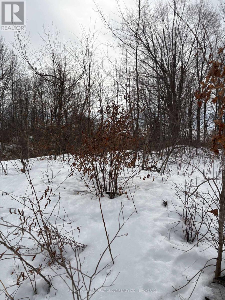 Lot 0 County Road 38, Frontenac (Frontenac Centre), Ontario  K0H 2P0 - Photo 2 - X12875364