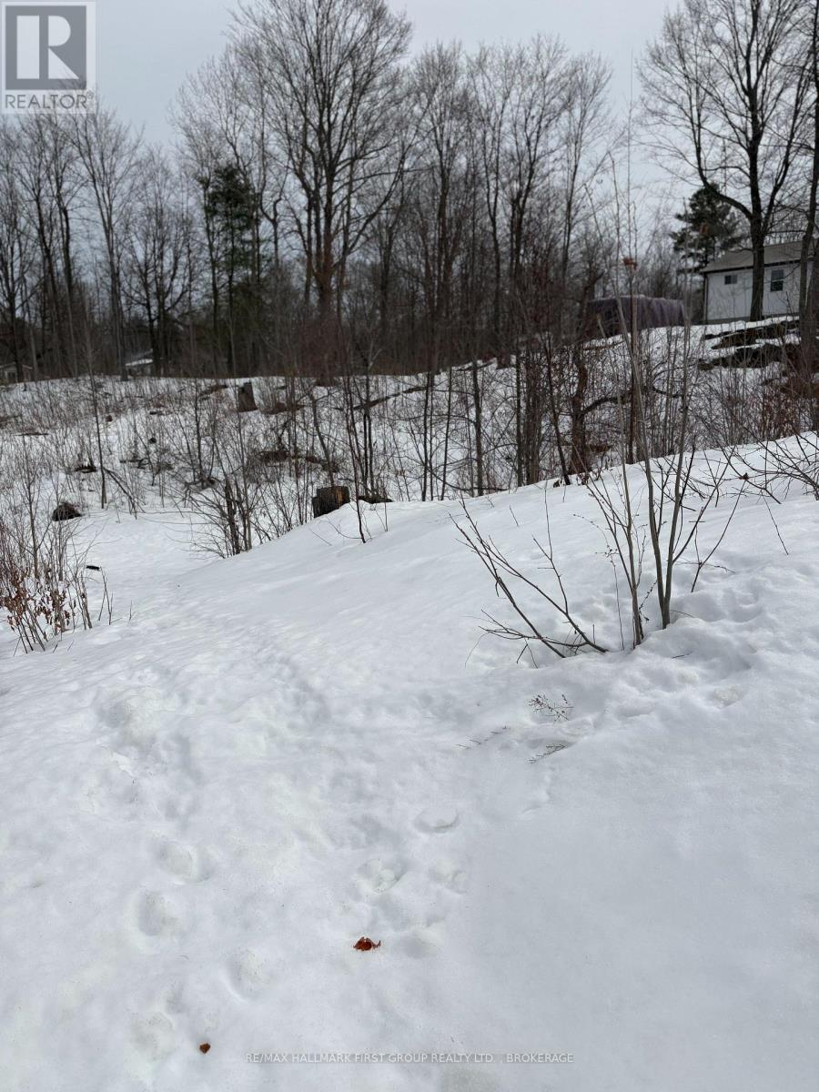 Lot 0 County Road 38, Frontenac (Frontenac Centre), Ontario  K0H 2P0 - Photo 3 - X12875364