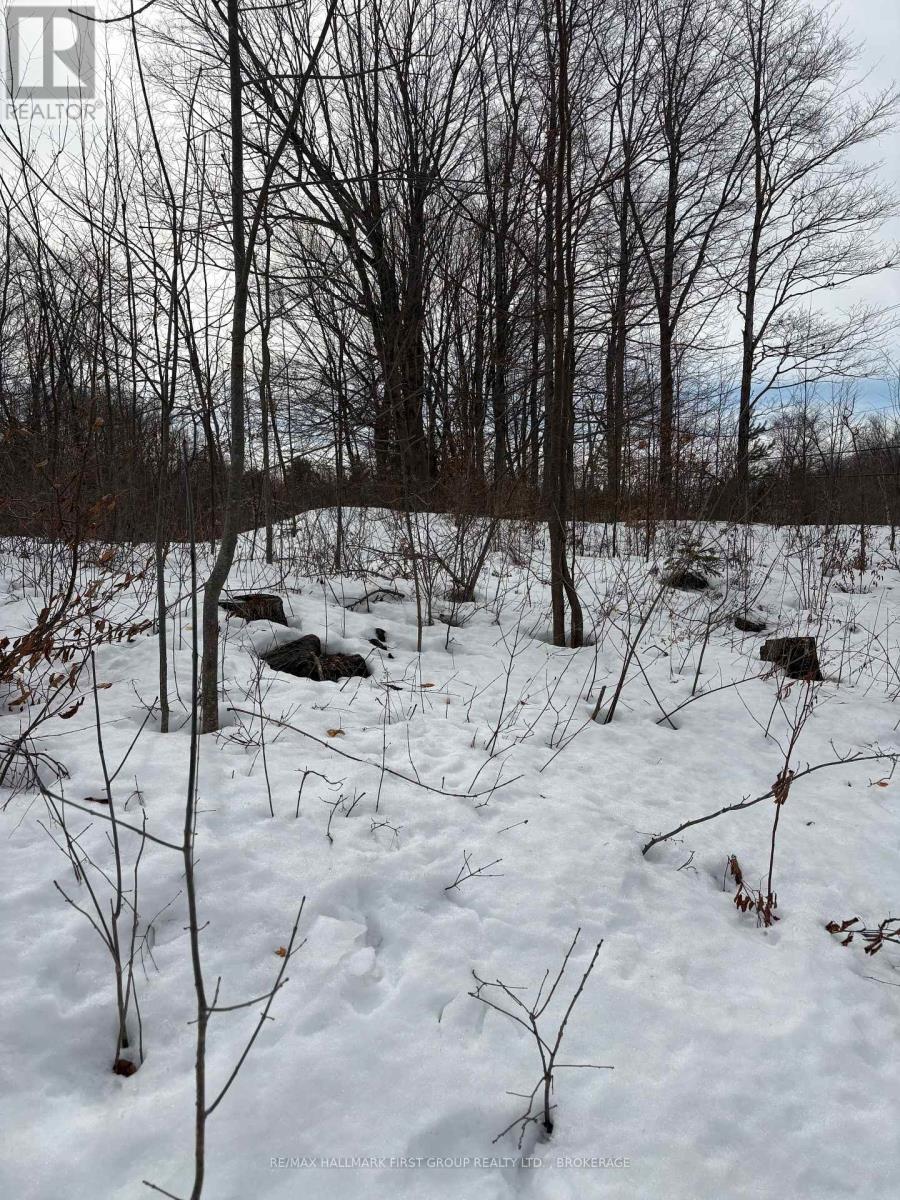 Lot 0 County Road 38, Frontenac (Frontenac Centre), Ontario  K0H 2P0 - Photo 4 - X12875364