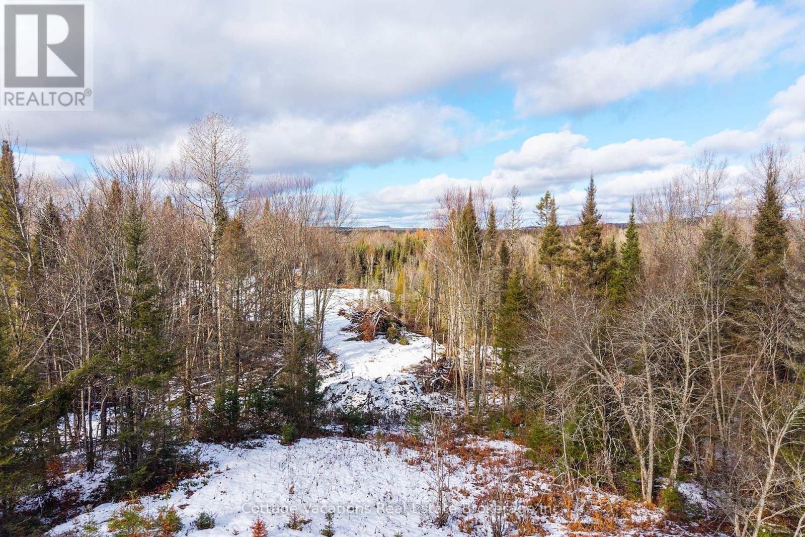 133 Berriedale Road, Armour, Ontario  P0A 1C0 - Photo 33 - X12874454