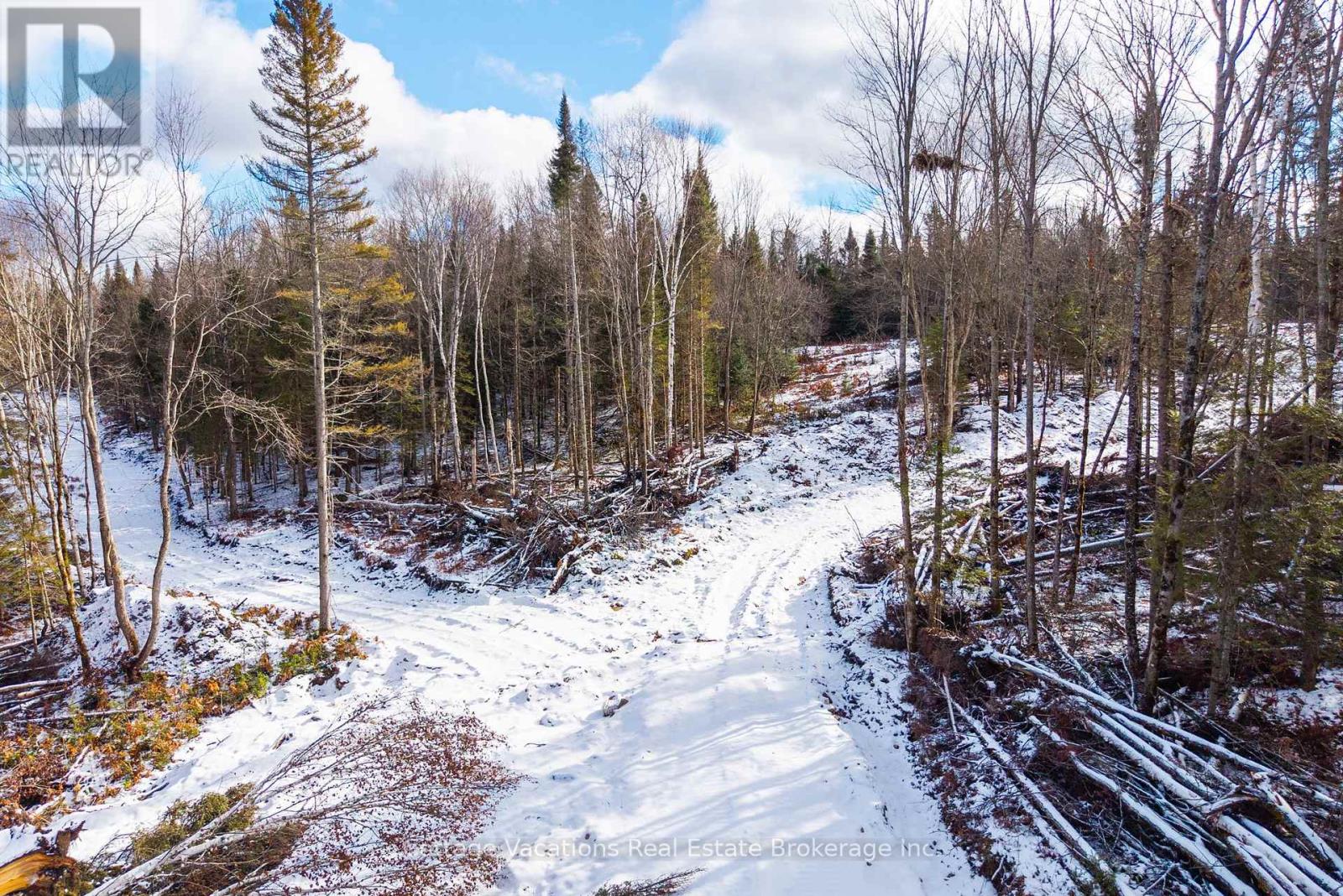 133 Berriedale Road, Armour, Ontario  P0A 1C0 - Photo 32 - X12874454