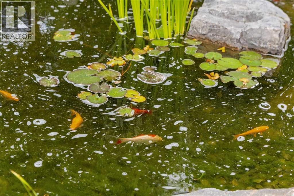 35 Tusslewood Drive Nw, Calgary, Alberta  T3L 2M6 - Photo 42 - A2290708