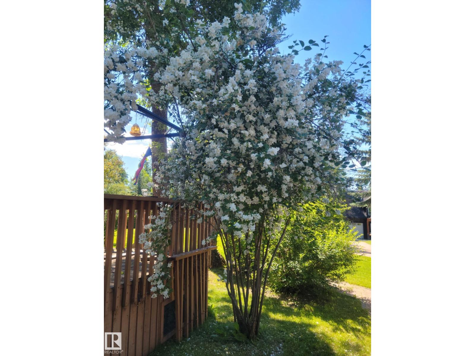 #128 4521 Lakeshore Rd, Rural Parkland County, Alberta  T0E 2K0 - Photo 43 - E4477031