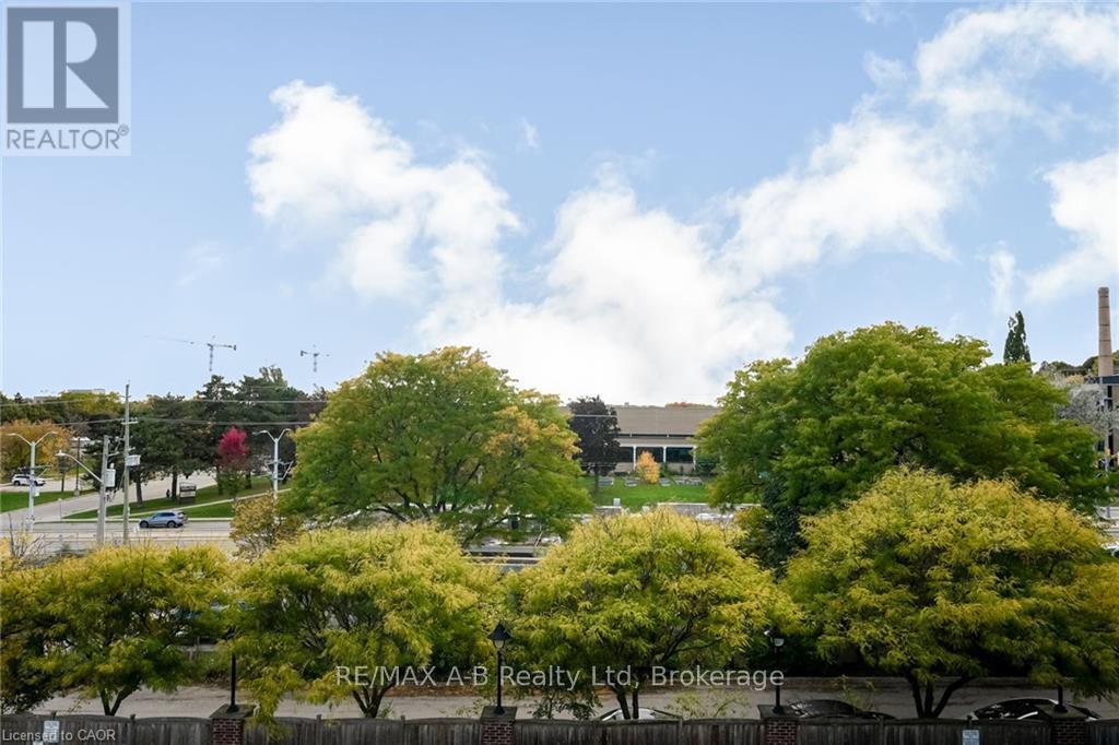 305 - 555 King Street E, Kitchener, Ontario  N2G 2L9 - Photo 19 - X12875630