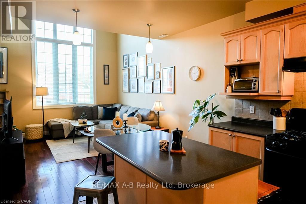 305 - 555 King Street E, Kitchener, Ontario  N2G 2L9 - Photo 5 - X12875630