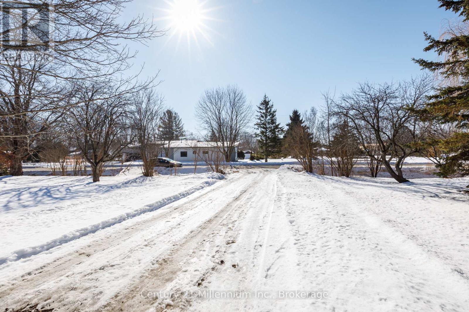129 Edward Street, Blue Mountains, Ontario  N0H 1J0 - Photo 3 - X12875692