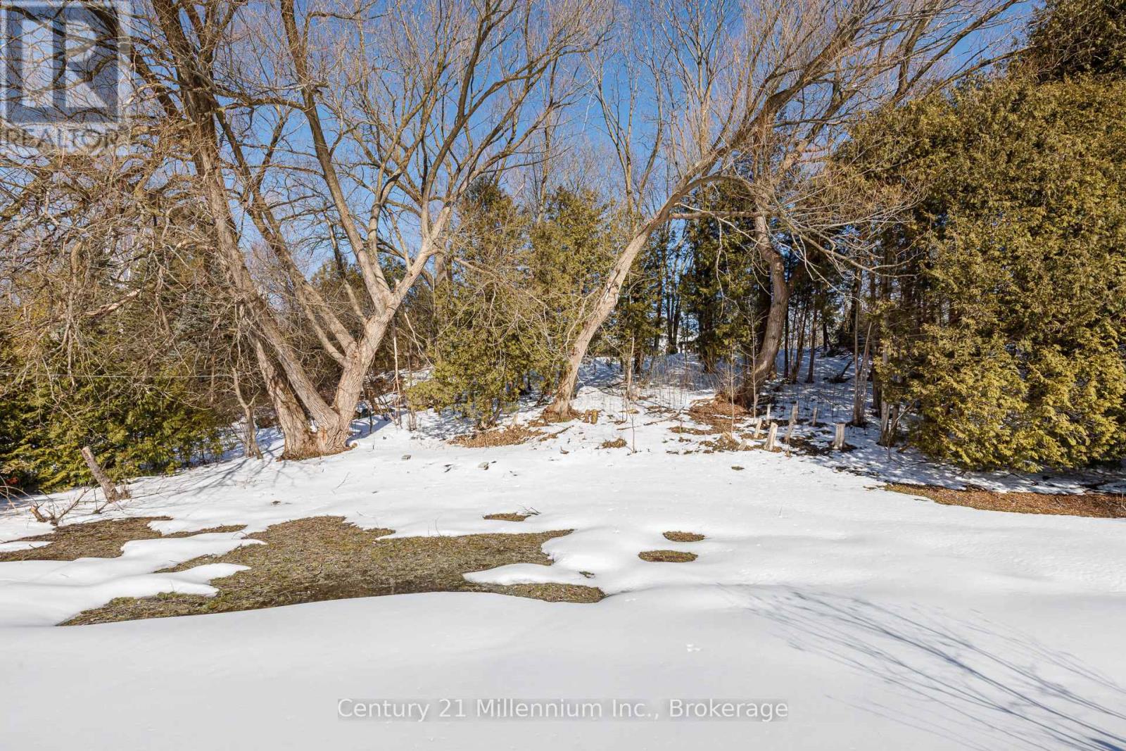 129 Edward Street, Blue Mountains, Ontario  N0H 1J0 - Photo 35 - X12875692