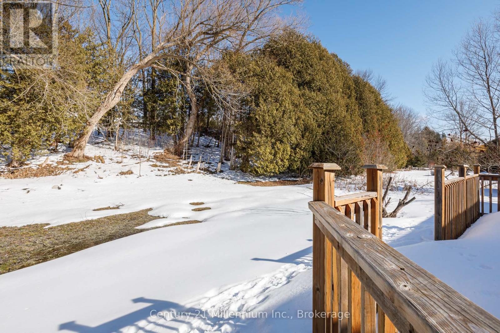 129 Edward Street, Blue Mountains, Ontario  N0H 1J0 - Photo 37 - X12875692