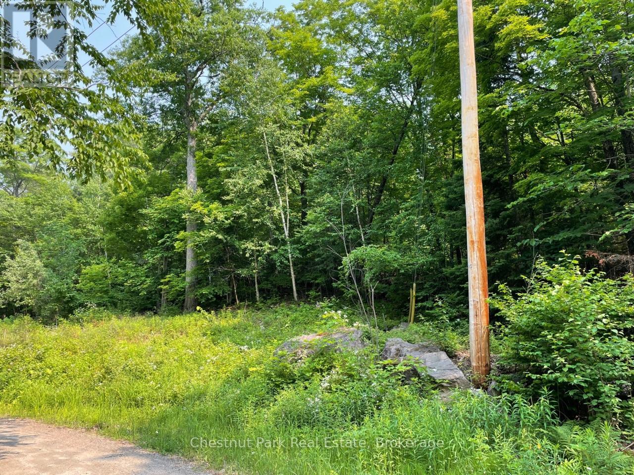 0 Coleman Lake Road, Dysart Et Al, Ontario  K0M 1S0 - Photo 2 - X12875730