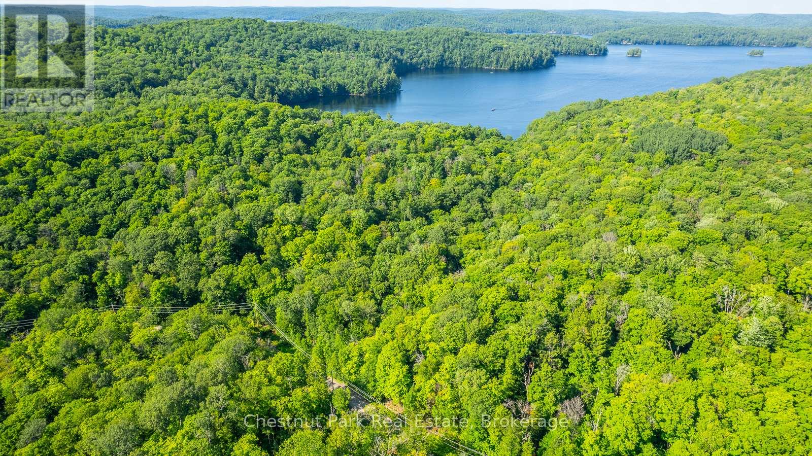 0 Coleman Lake Road, Dysart Et Al, Ontario  K0M 1S0 - Photo 3 - X12875730