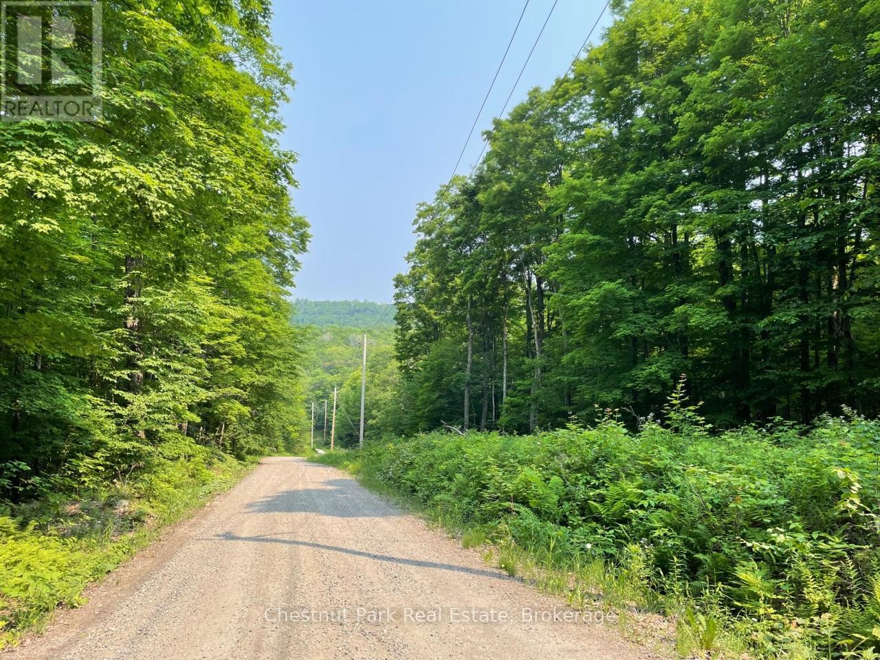 0 Coleman Lake Road, Dysart Et Al, Ontario  K0M 1S0 - Photo 4 - X12875730