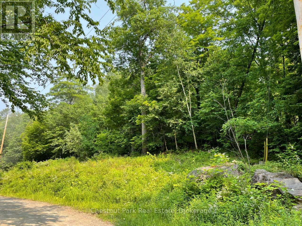 0 Coleman Lake Road, Dysart Et Al, Ontario  K0M 1S0 - Photo 5 - X12875730