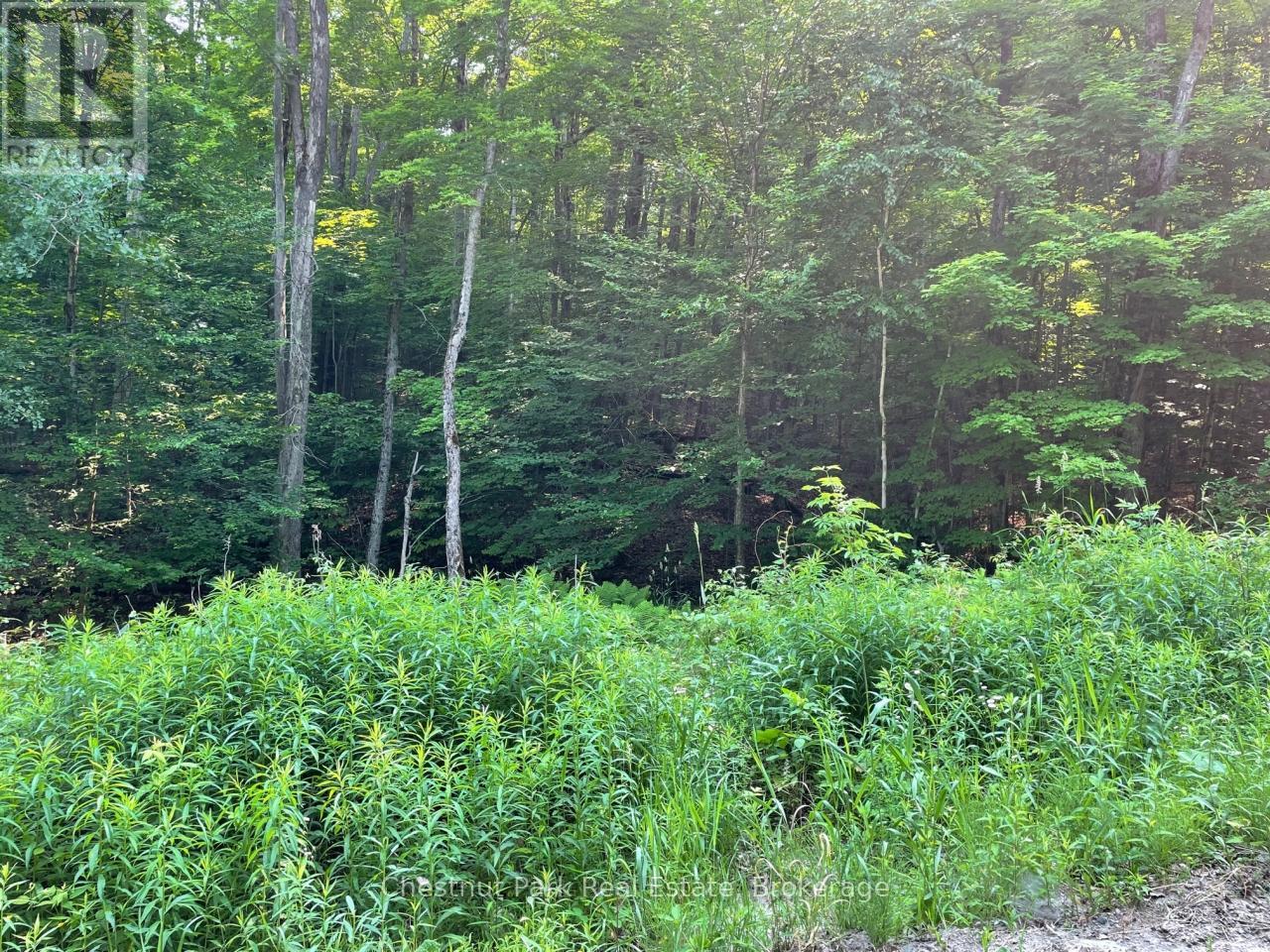 0 Coleman Lake Road, Dysart Et Al, Ontario  K0M 1S0 - Photo 6 - X12875730