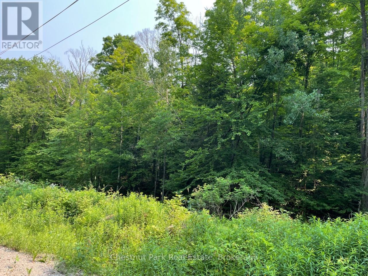 0 Coleman Lake Road, Dysart Et Al, Ontario  K0M 1S0 - Photo 7 - X12875730