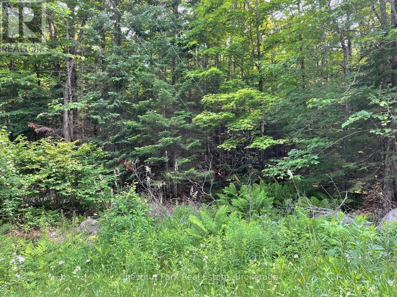 0 Coleman Lake Road, Dysart Et Al, Ontario  K0M 1S0 - Photo 8 - X12875730