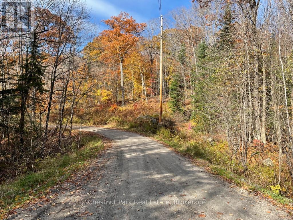 0 Coleman Lake Road, Dysart Et Al, Ontario  K0M 1S0 - Photo 9 - X12875730