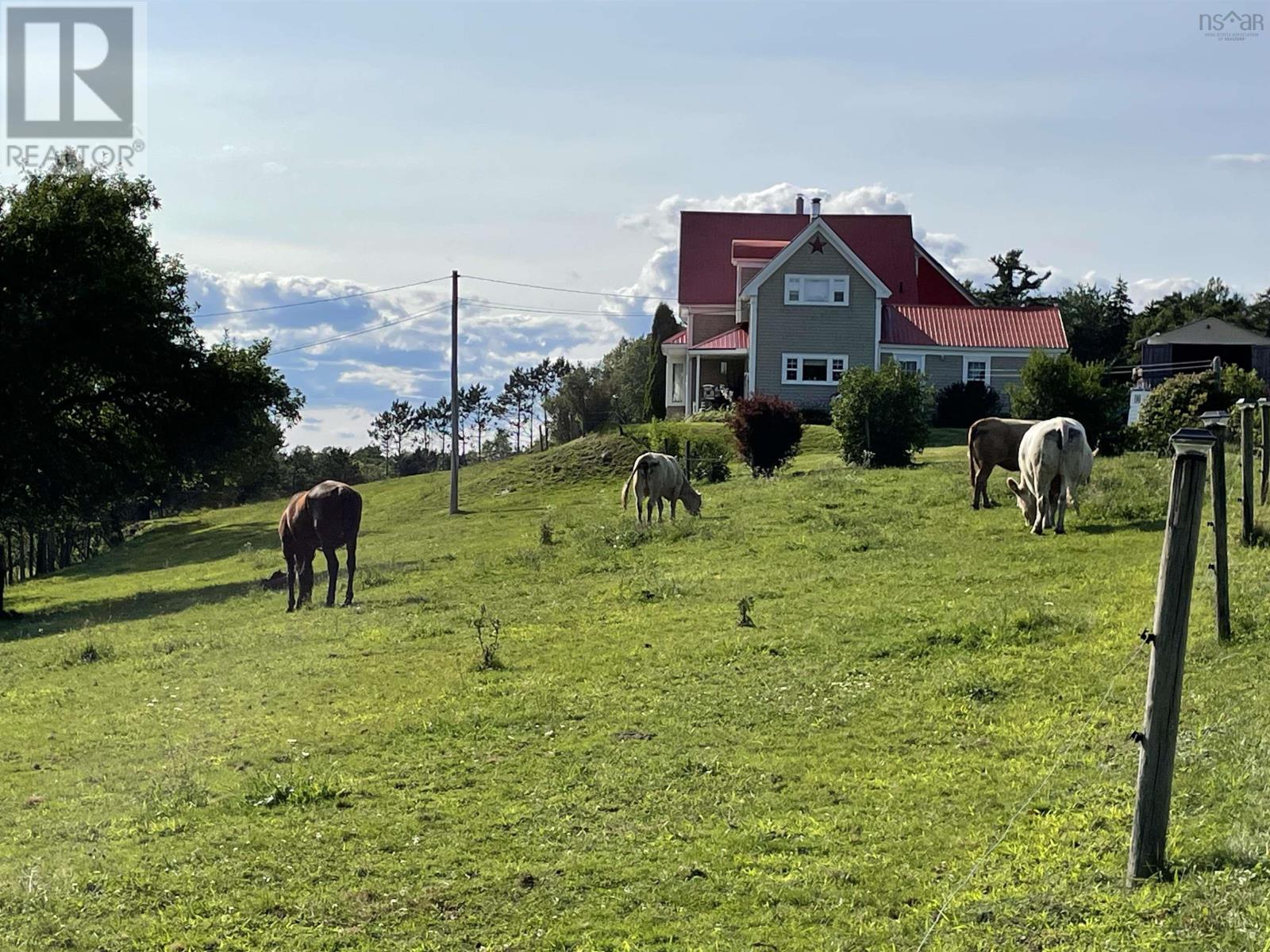 550 Lower Branch Road, Lower Branch, Nova Scotia  B4V 4M1 - Photo 45 - 202604422