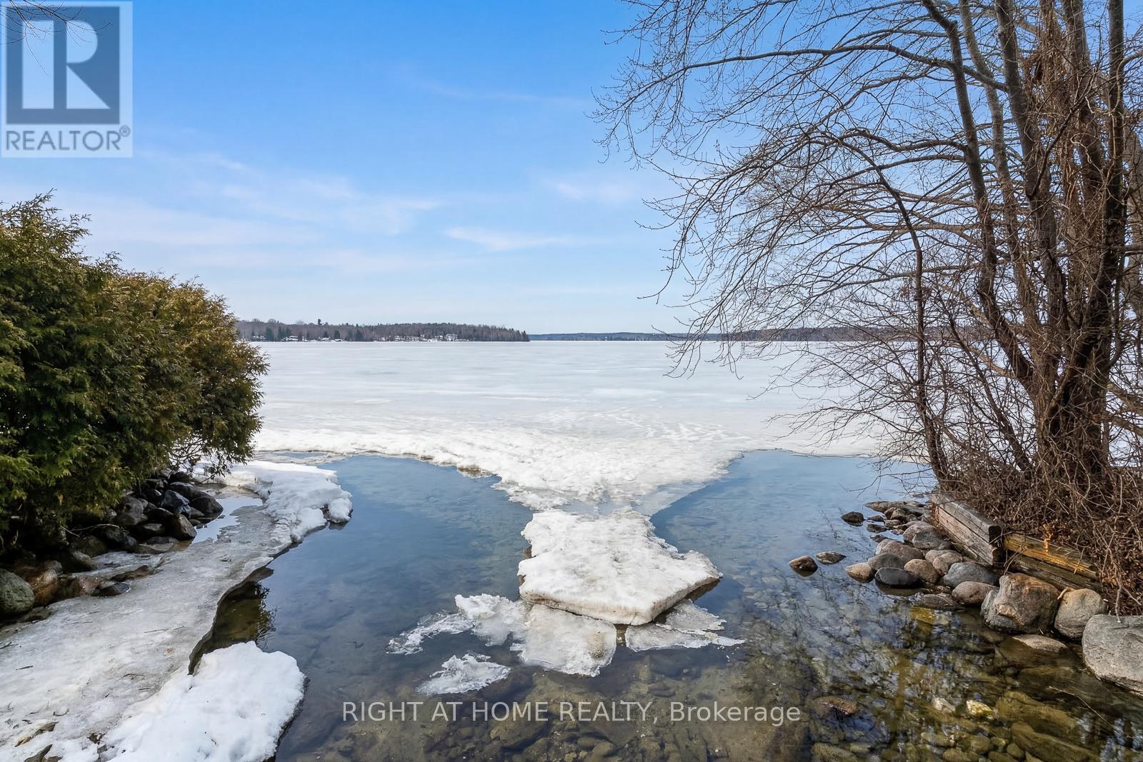 259 Glenwoods Avenue, Georgina, Ontario  L4P 2X1 - Photo 35 - N12875510