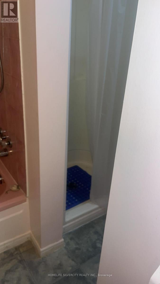 224 Livingston Road, Toronto (Guildwood), Ontario  M1E 1L7 - Photo 18 - E12862762