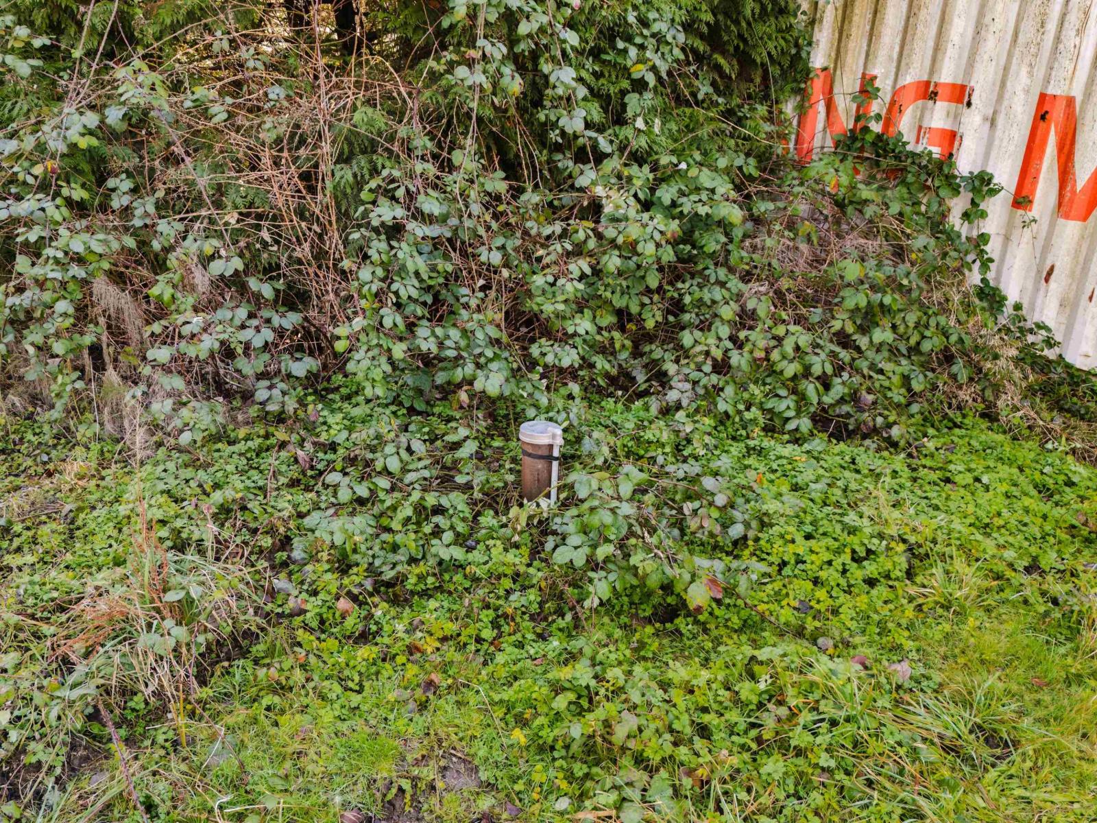 1613 208 Street, Langley, British Columbia  V2Z 2A7 - Photo 20 - R3098149