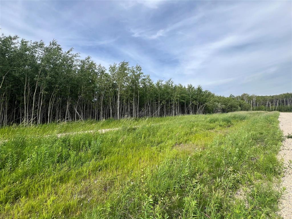 53 Cameron Drive, La Broquerie, Manitoba