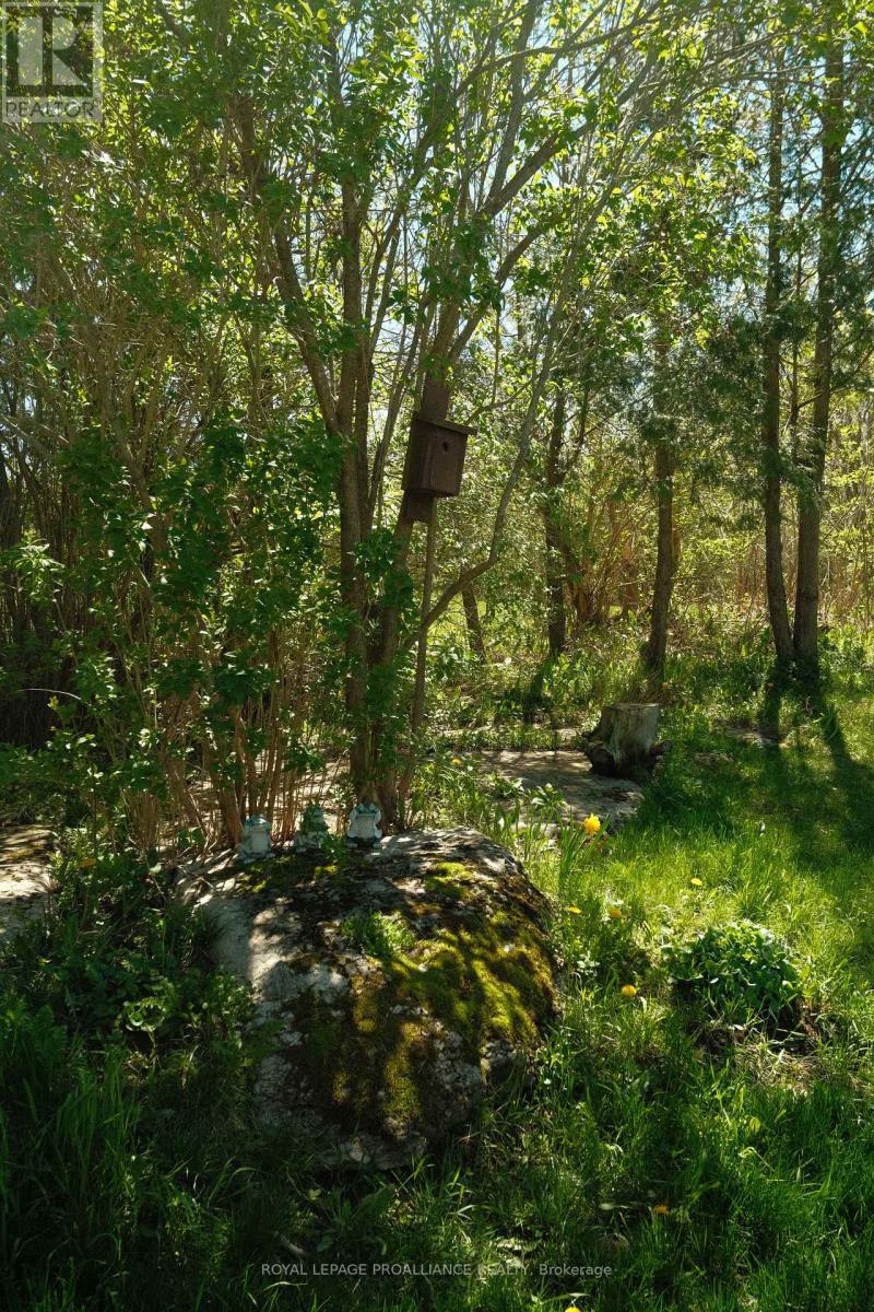 192 Crookston Road, Centre Hastings, Ontario  K0K 2K0 - Photo 44 - X12875930