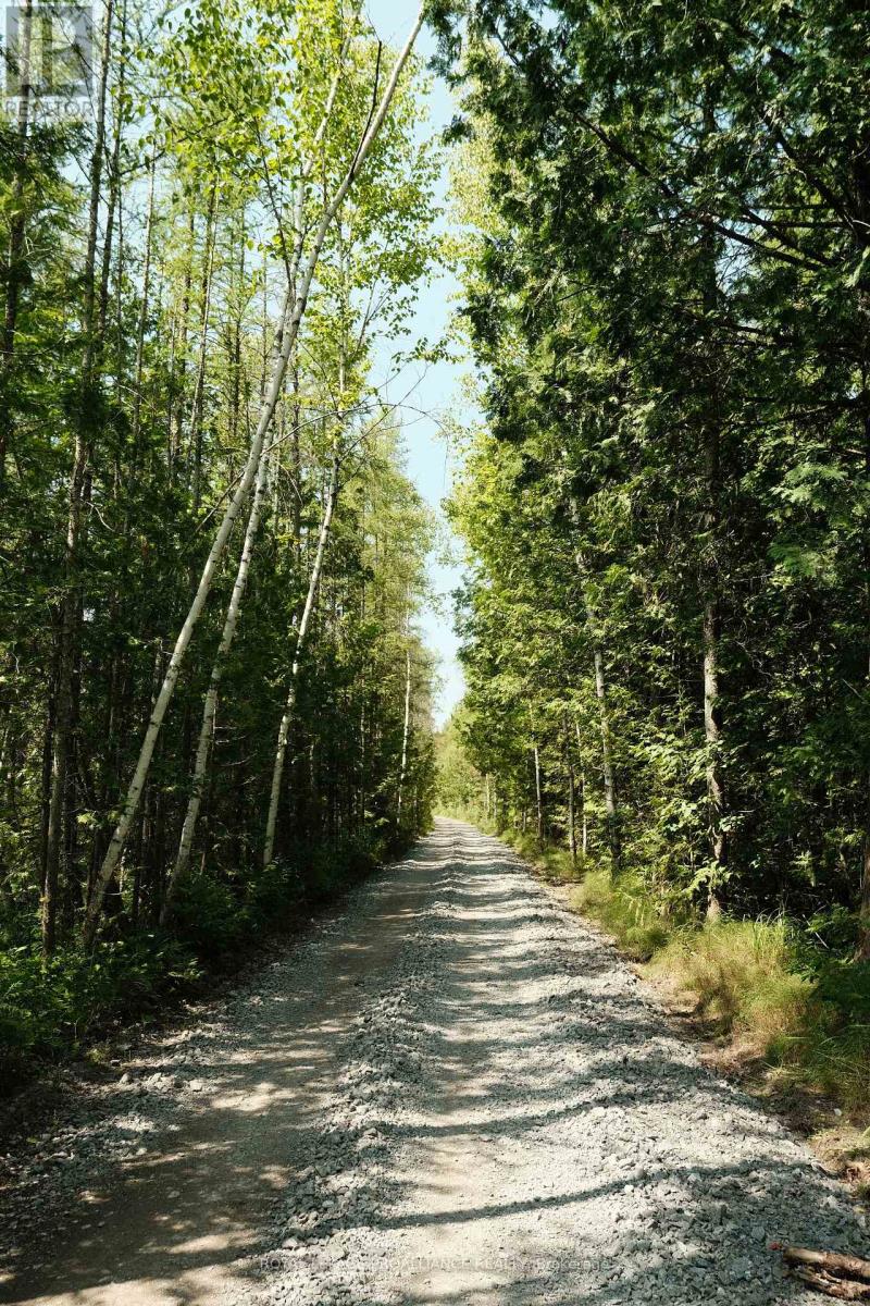 192 Crookston Road, Centre Hastings, Ontario  K0K 2K0 - Photo 46 - X12875930