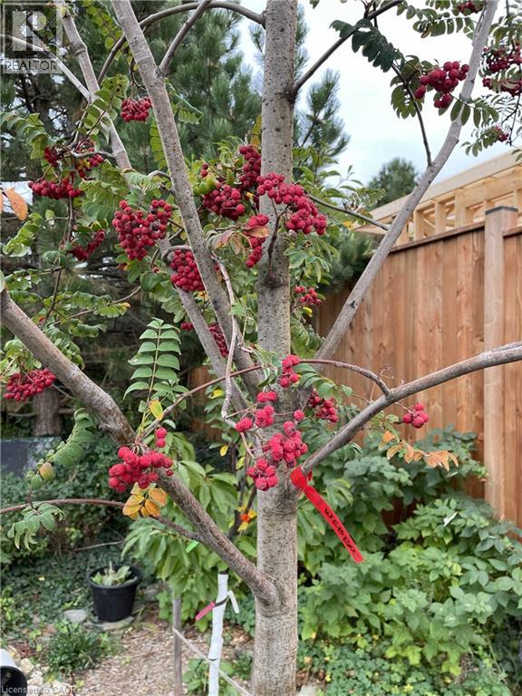 622 Doon South Drive, Kitchener, Ontario  N2P 2X4 - Photo 49 - 40810579