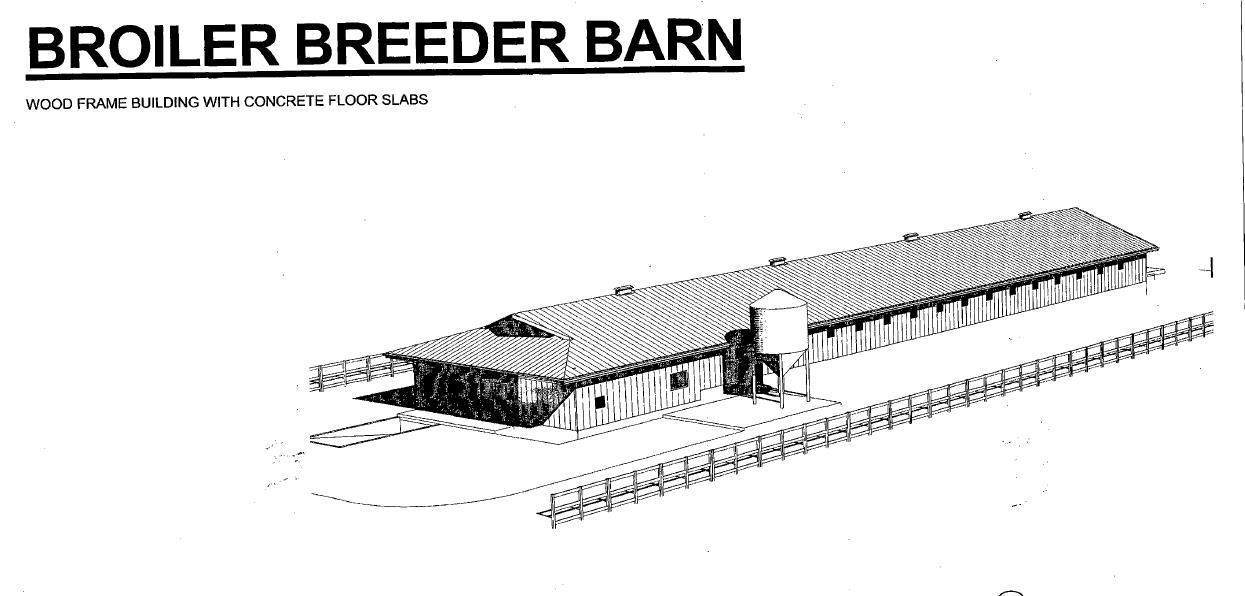 21293 96 Avenue, Langley, British Columbia  V1M 2Z4 - Photo 17 - R3068891