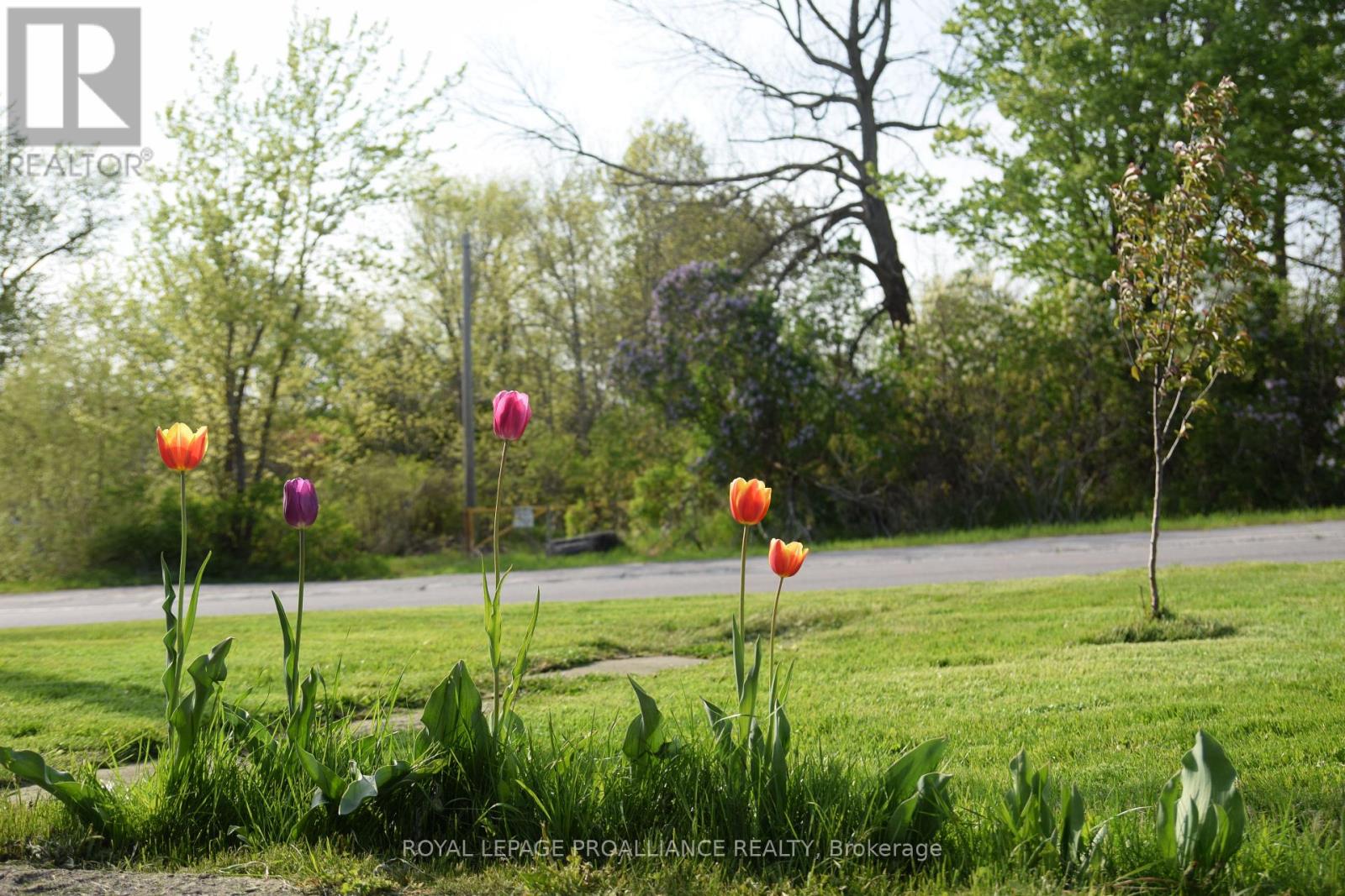 192 Crookston Road, Centre Hastings, Ontario  K0K 2K0 - Photo 35 - X12875930