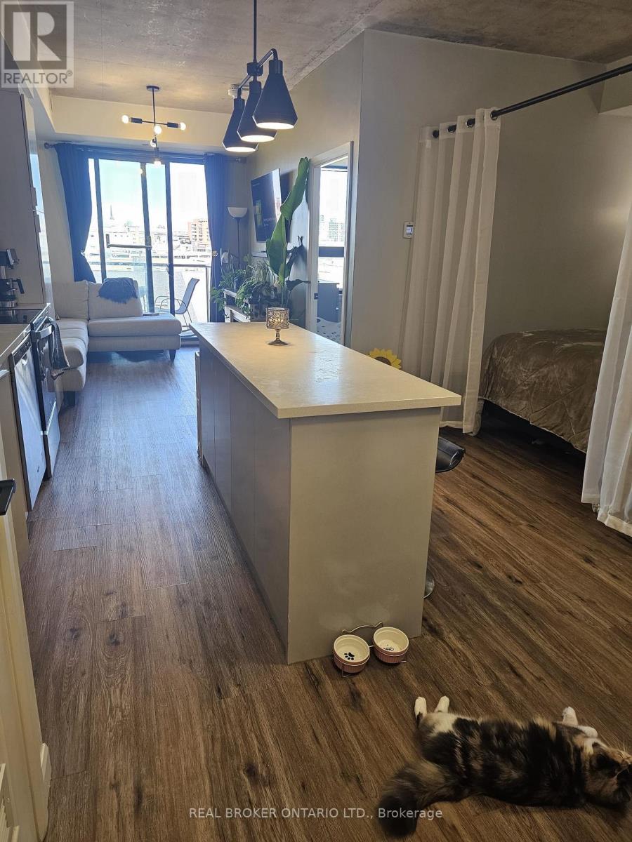 402 - 7 Erie Avenue, Brantford, Ontario  N3S 2E7 - Photo 5 - X12876046