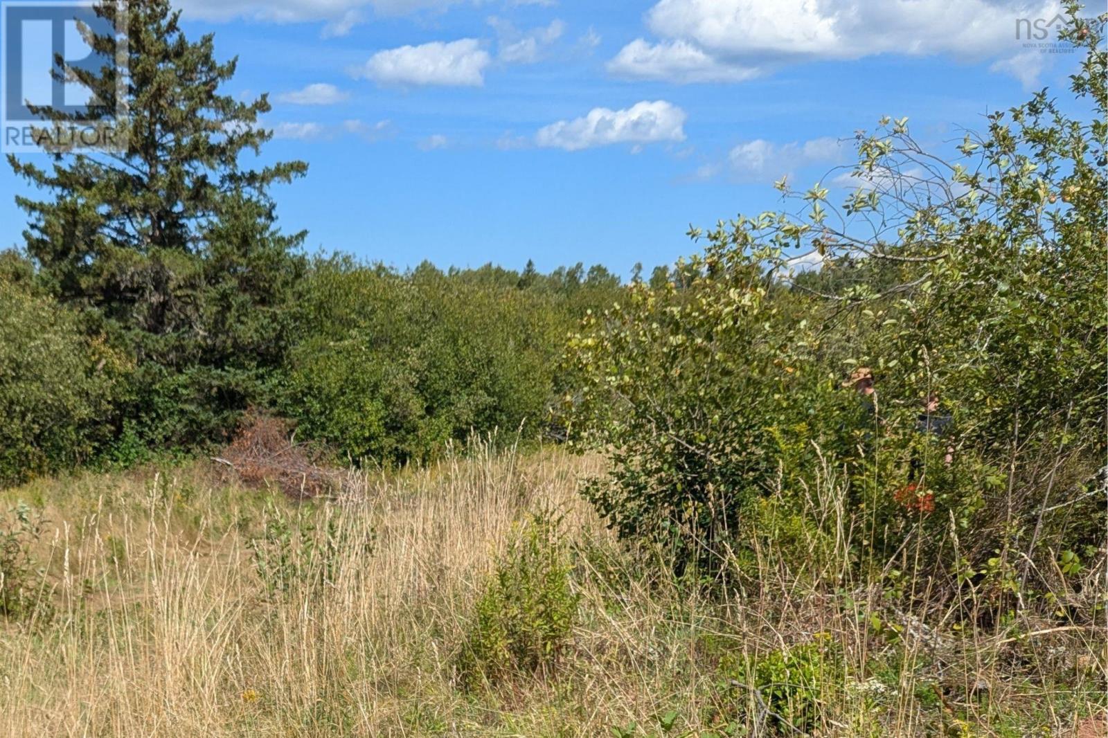 1013 River John Road, Hedgeville, Nova Scotia  B0K 1N0 - Photo 6 - 202604435