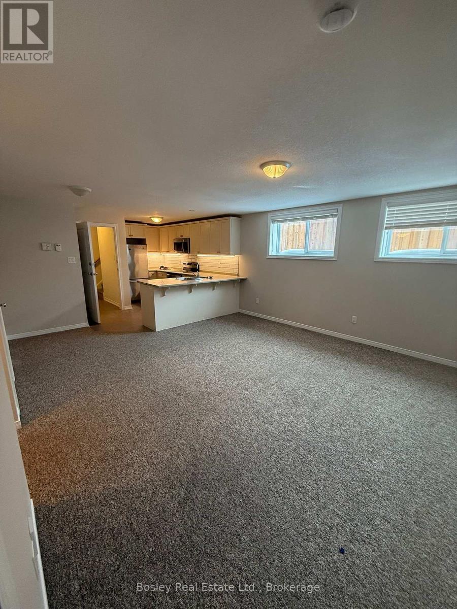 Lower - 50 Cooper Street, Collingwood, Ontario  L9Y 0W8 - Photo 3 - S12876468