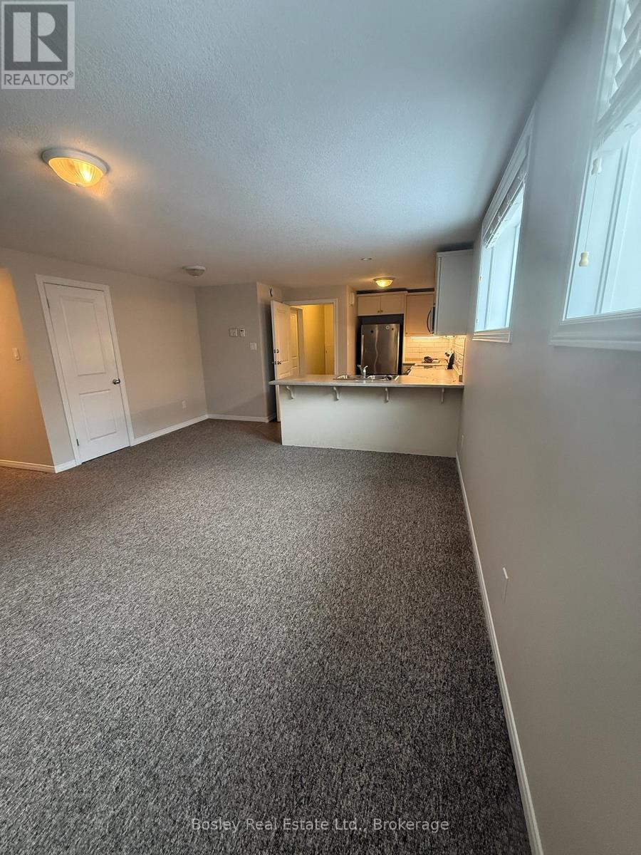 Lower - 50 Cooper Street, Collingwood, Ontario  L9Y 0W8 - Photo 6 - S12876468