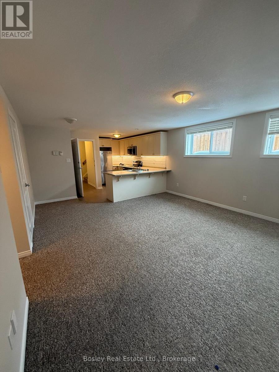 Lower - 50 Cooper Street, Collingwood, Ontario  L9Y 0W8 - Photo 7 - S12876468