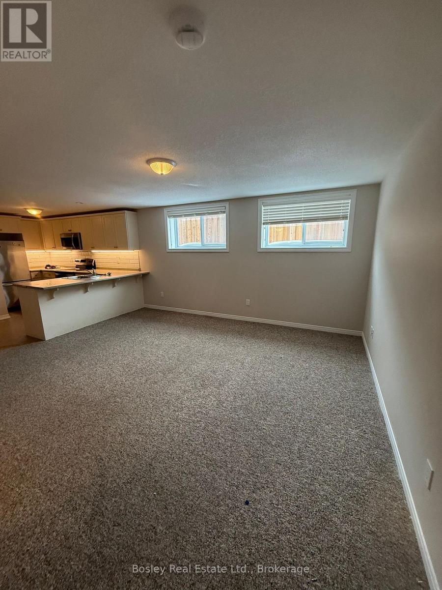 Lower - 50 Cooper Street, Collingwood, Ontario  L9Y 0W8 - Photo 8 - S12876468