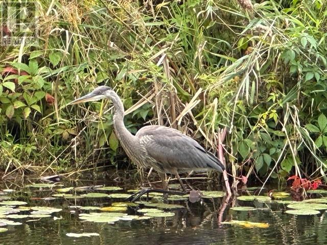 271 Albert Street, Azilda, Ontario  P0M 1B0 - Photo 15 - 2126784
