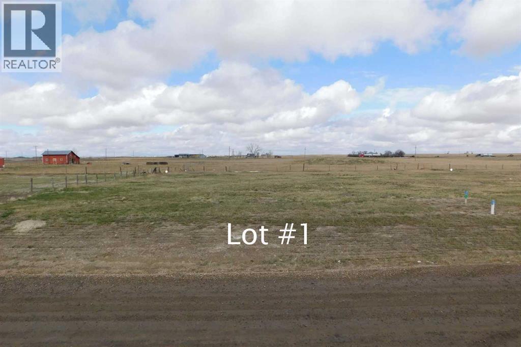 117 Argyle Street, Granum, Alberta  T0L 1A0 - Photo 3 - A2214193