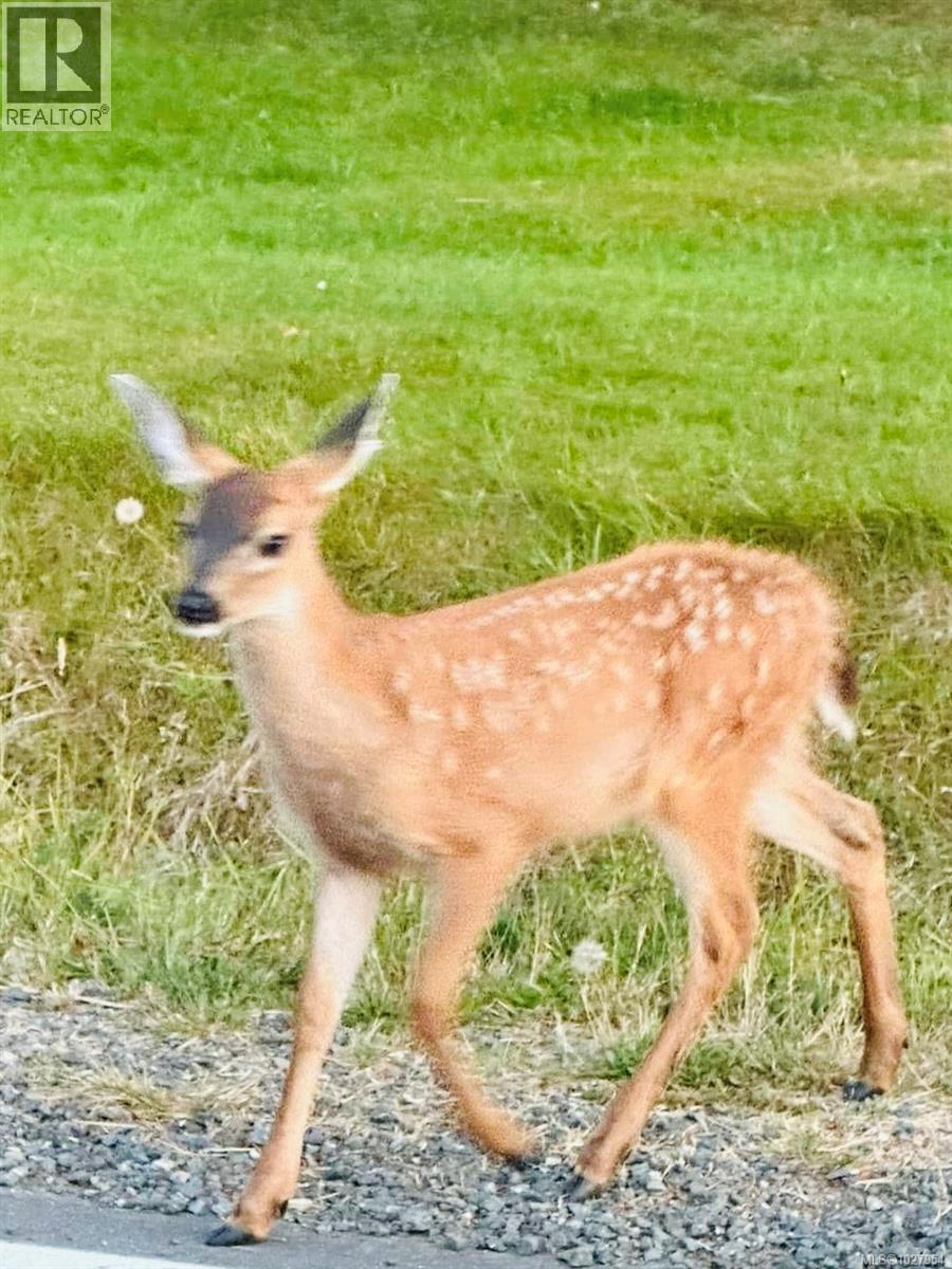 1763 Marathon Lane, Sooke, British Columbia  V8Z 1V9 - Photo 53 - 1027954