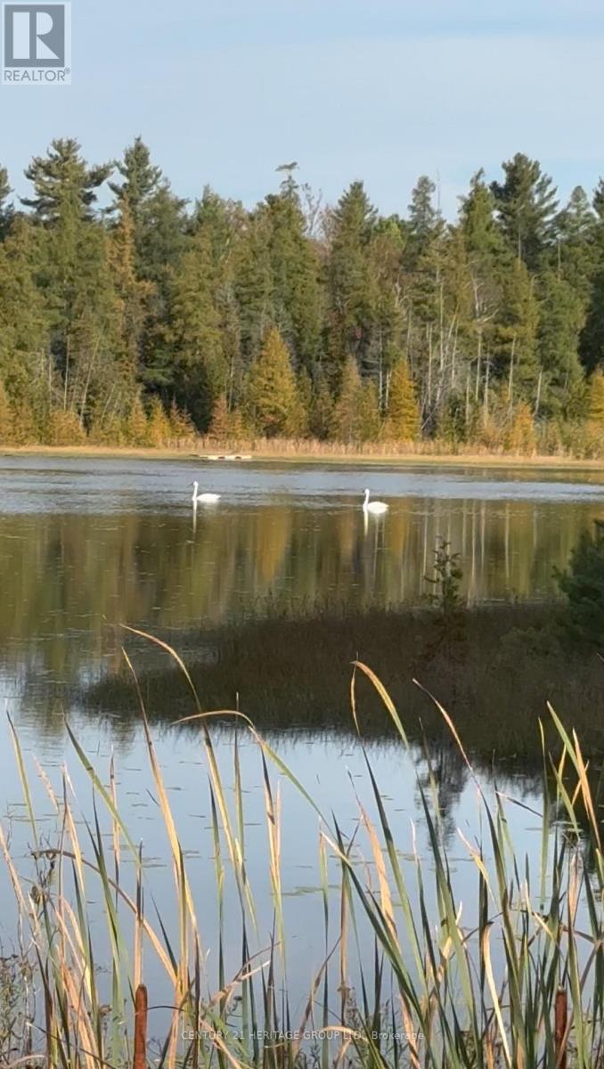 580223 SIDEROAD 60, Chatsworth, Ontario