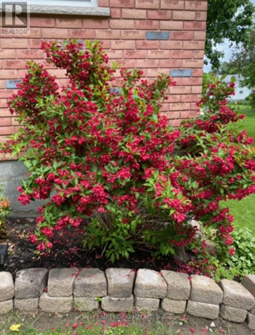 35 Nelson Street, Centre Hastings, Ontario  K0K 2K0 - Photo 42 - X12875182