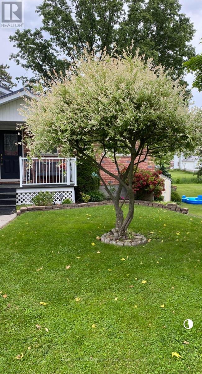 35 Nelson Street, Centre Hastings, Ontario  K0K 2K0 - Photo 36 - X12875182